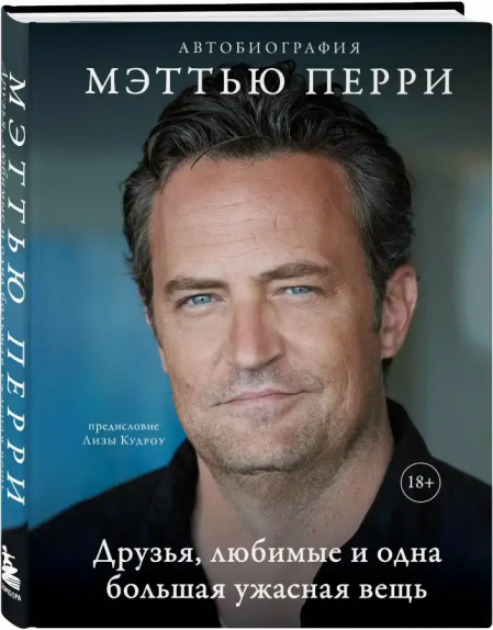 Мэттью Перри - Друзья, любимые и одна большая ужасная вещь (2023) PDF, FB2